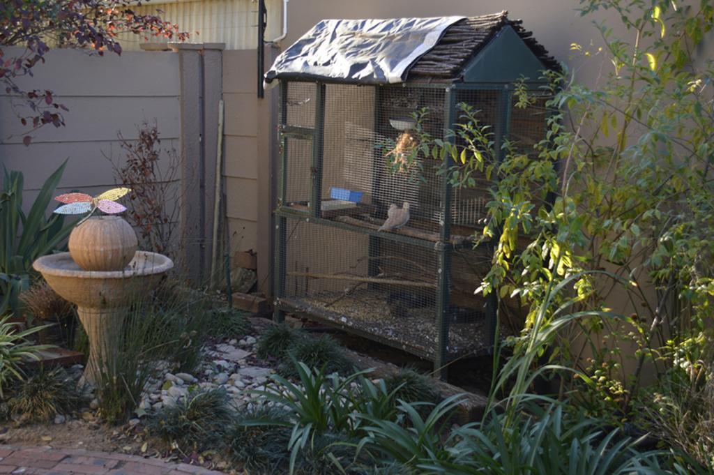 Two Bells Guest House Bloemfontein Esterno foto
